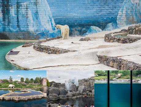 〈白熊計劃 White Bear〉 ─羅晟文個展